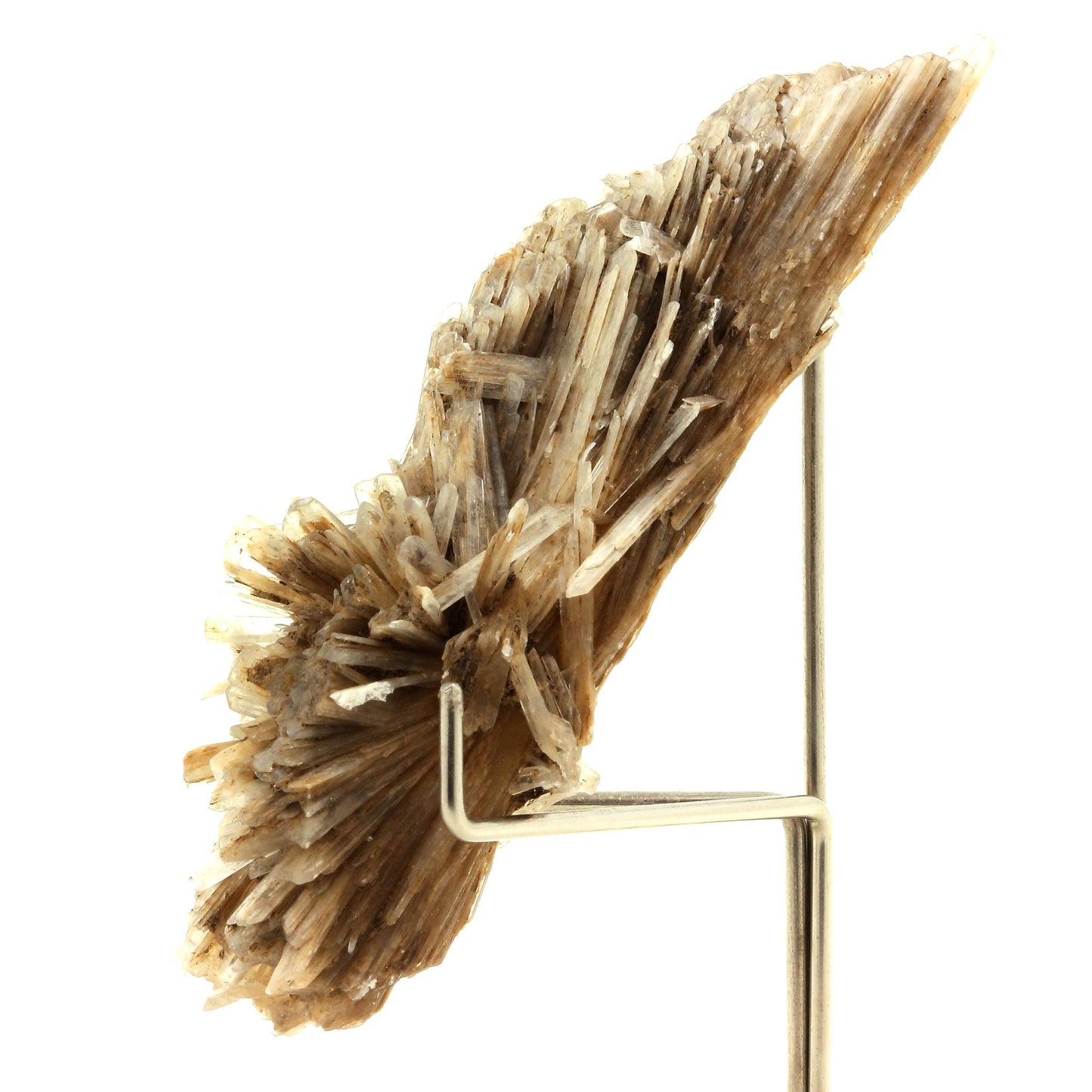 Gypse. 179.0 carats. Angervilliers, Essonne, France
