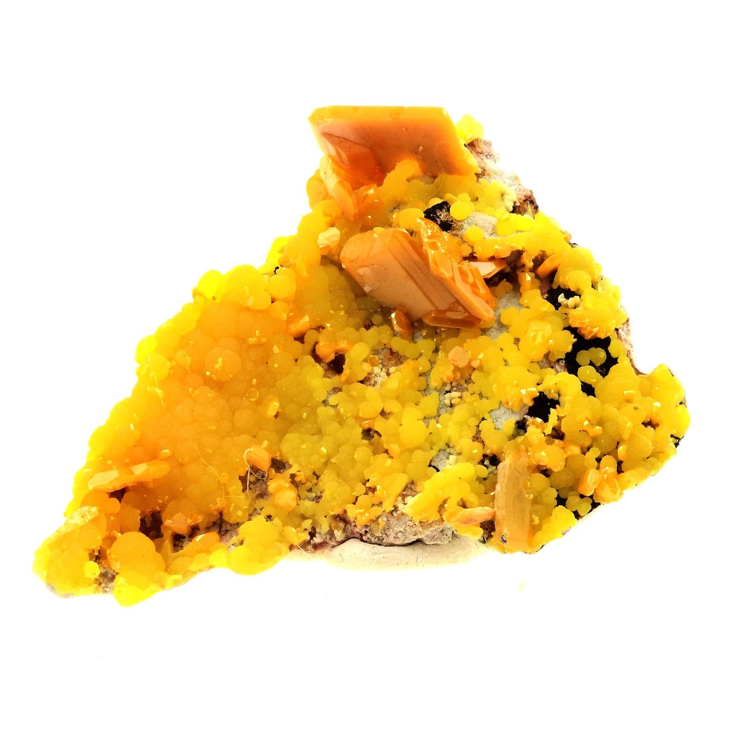Wulfenite + Mimetite. 395.5 carats. La Morita Mine, Chihuahua, Mexique