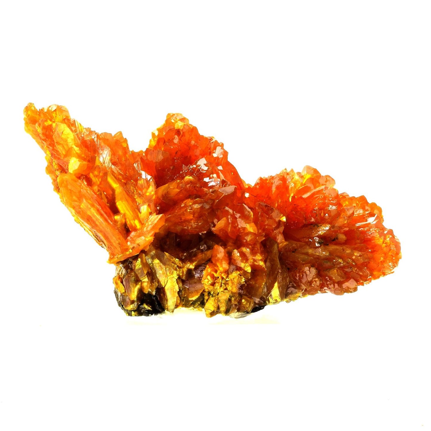 Orpiment. 994.5 carats. Twin Creeks Mine, Nevada, USA