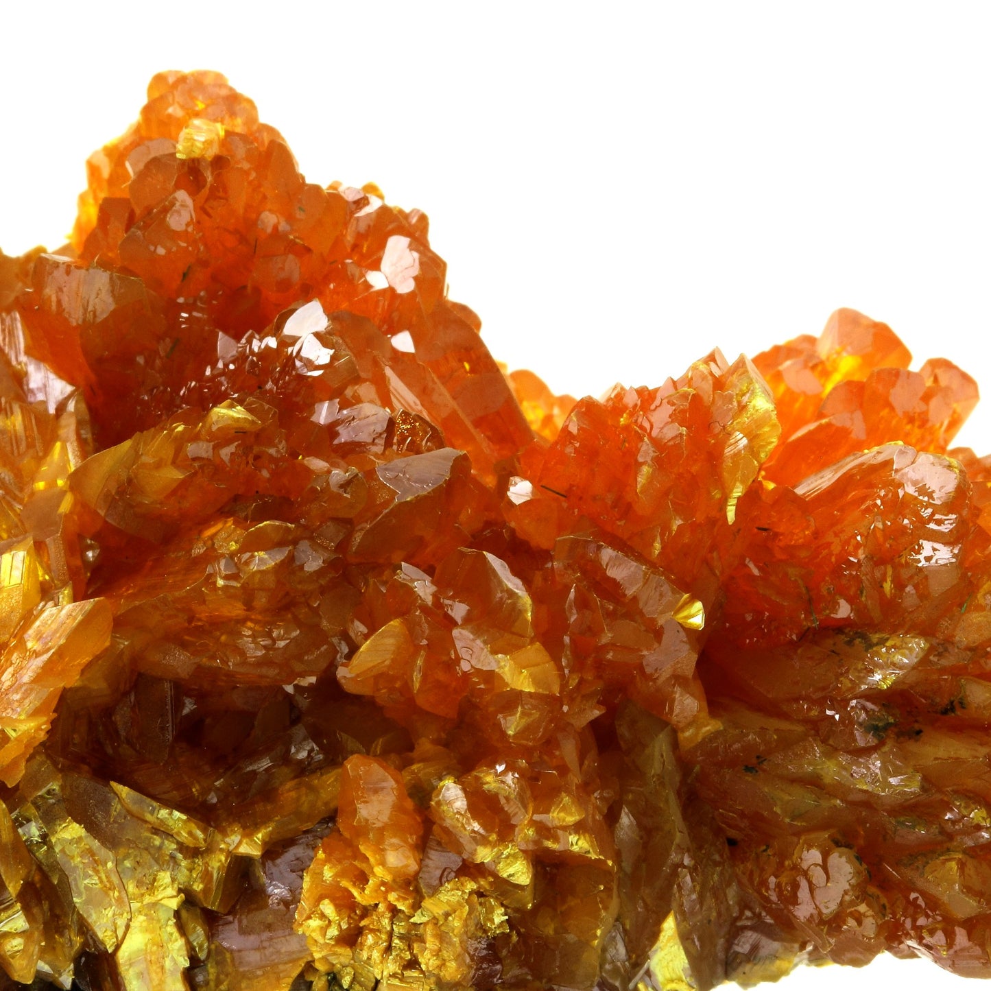 Orpiment. 994.5 carats. Twin Creeks Mine, Nevada, USA