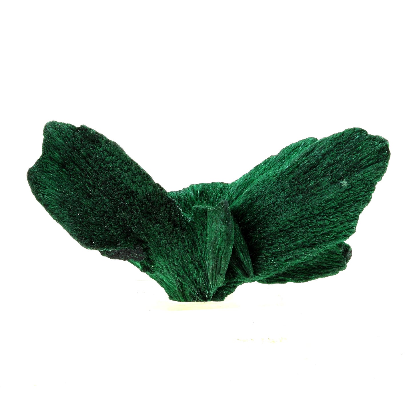 Malachite. 104.0 carats. Katanga, Congo