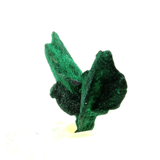 Malachite. 104.0 carats. Katanga, Congo