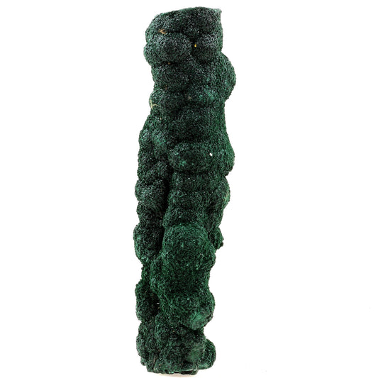 Malachite Stalactite . 3073.5 carats. Katanga, Congo