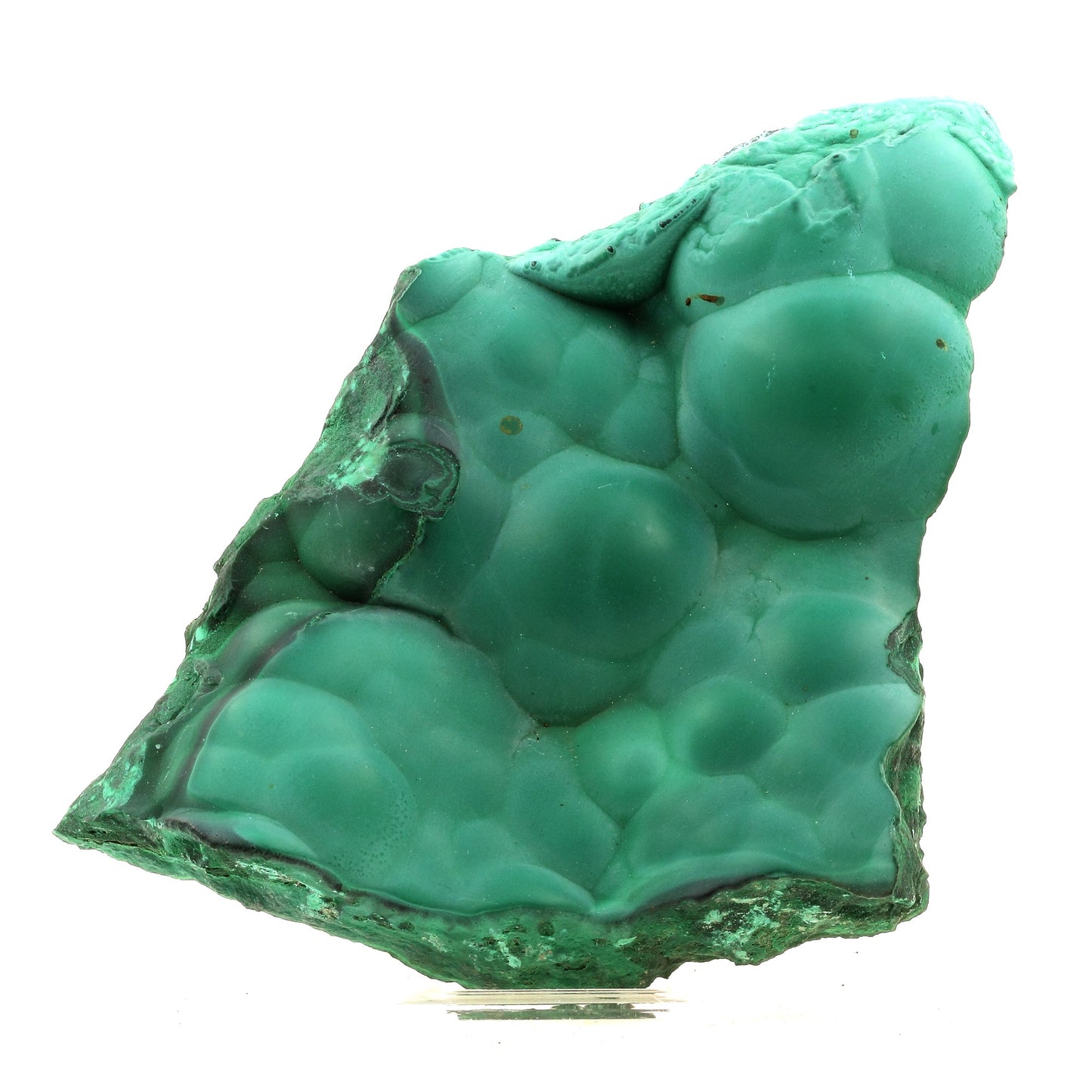 Malachite. 6885.0 carats. Katanga, Congo