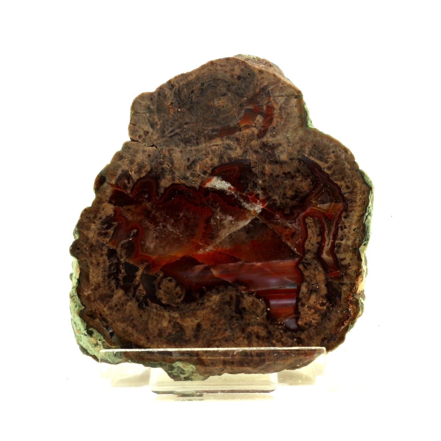 Lithophyse, 1742.0 carats, Massif de l'Esterel, Var, France