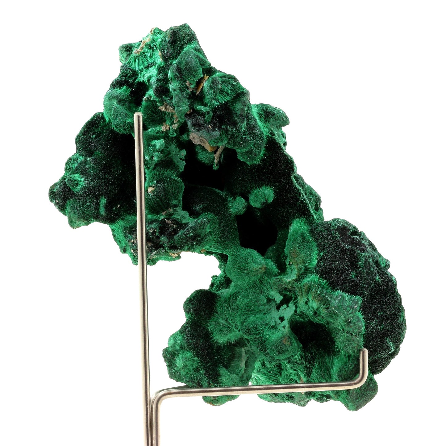 Malachite. 1862.5 carats. L'Etoile du Congo Mine, Lubumbashi, Congo