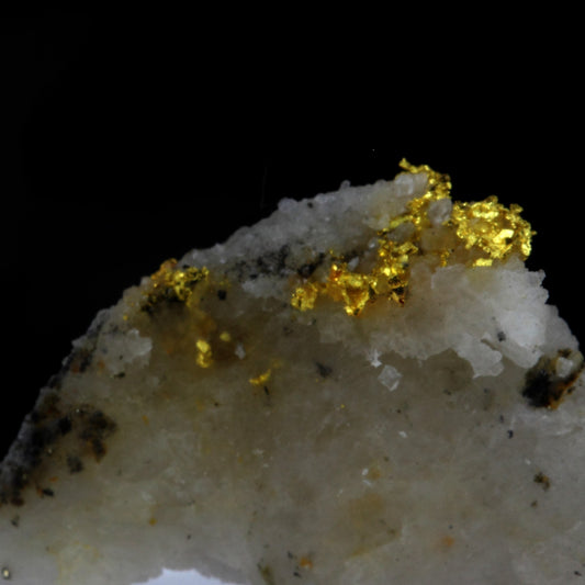 Or Natif, 21.5 carats, Mine de Brusson, Vallée d'Aoste, Italie