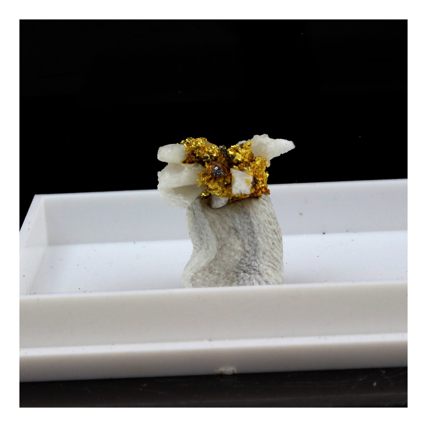 Or Natif, 19.0 carats, Mine de Brusson, Vallée d'Aoste, Italie