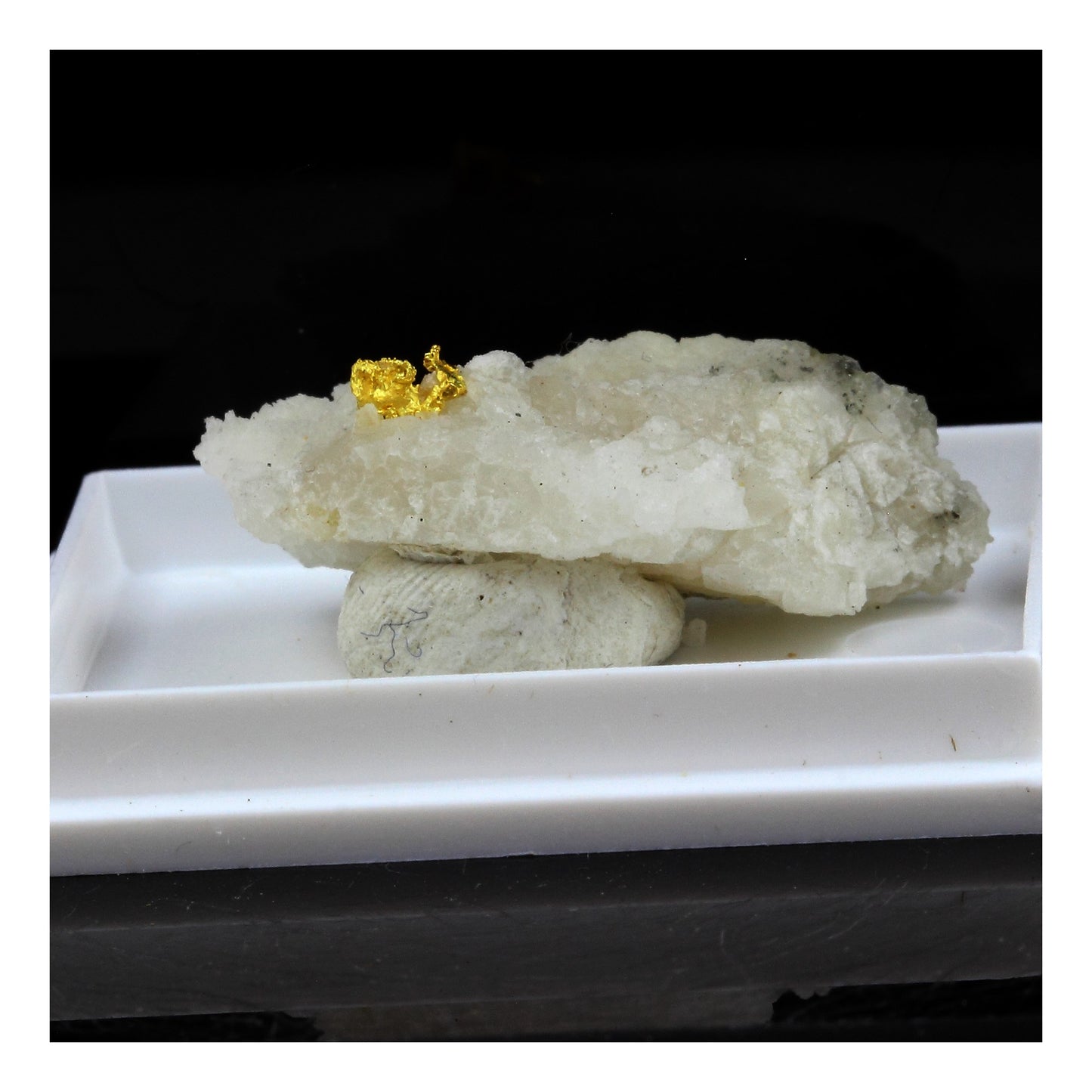 Or Natif, 26.0 carats, Mine de Brusson, Vallée d'Aoste, Italie