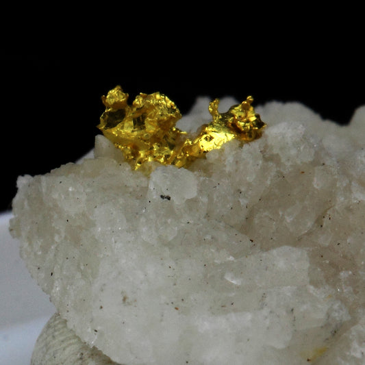 Or Natif, 26.0 carats, Mine de Brusson, Vallée d'Aoste, Italie