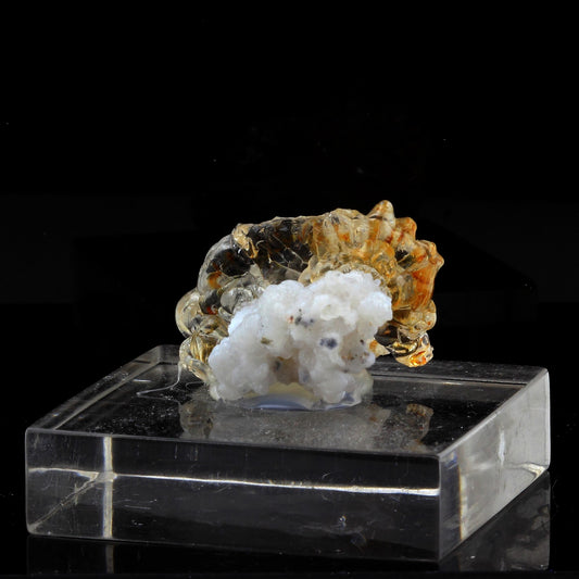 Opale Hyalite (Var: Opal-AN). 124.5 carats. San Luis Potosí, Mexique