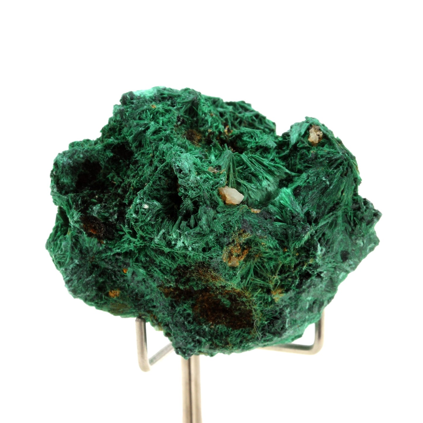 Malachite. 313.5 carats. Mindingi Mine, Kambove, Katanga, Congo
