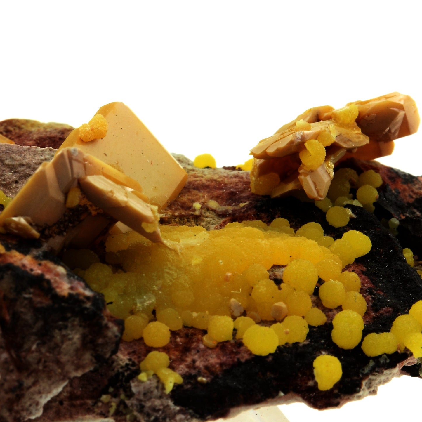 Wulfenite + Mimetite. 322.5 carats. La Morita Mine, Chihuahua, Mexique