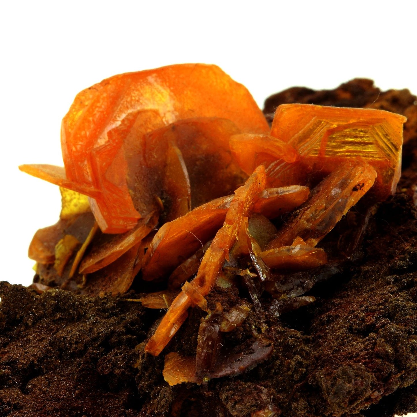 Wulfenite. 334.0 carats. En provenance de San Francisco Mine, Cucurpe, Sonora, Mexique