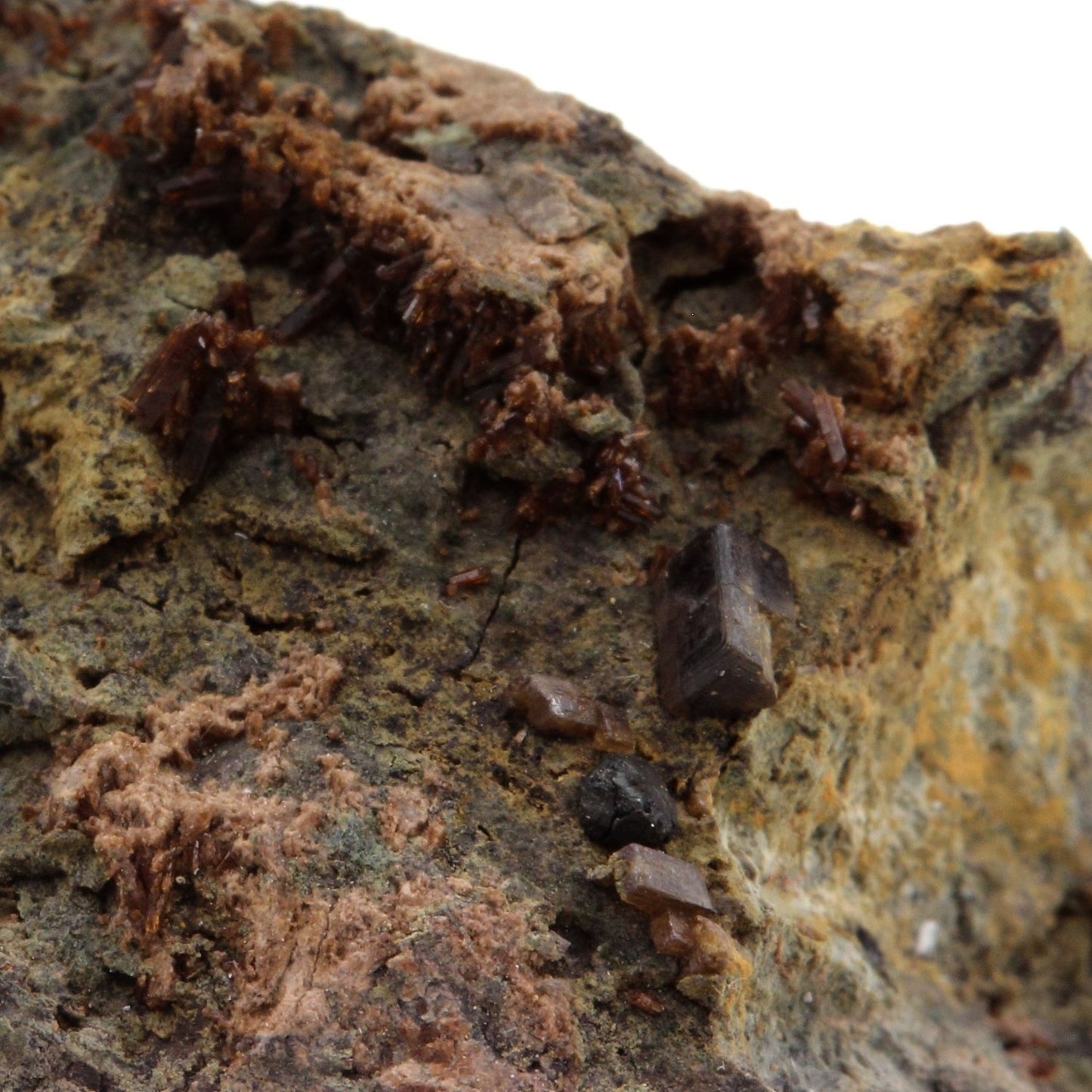 Perovskite + Vesuvianite, 348.5 carats, Farinole, Olmeta-di-Capocorso, Haute-Corse, France