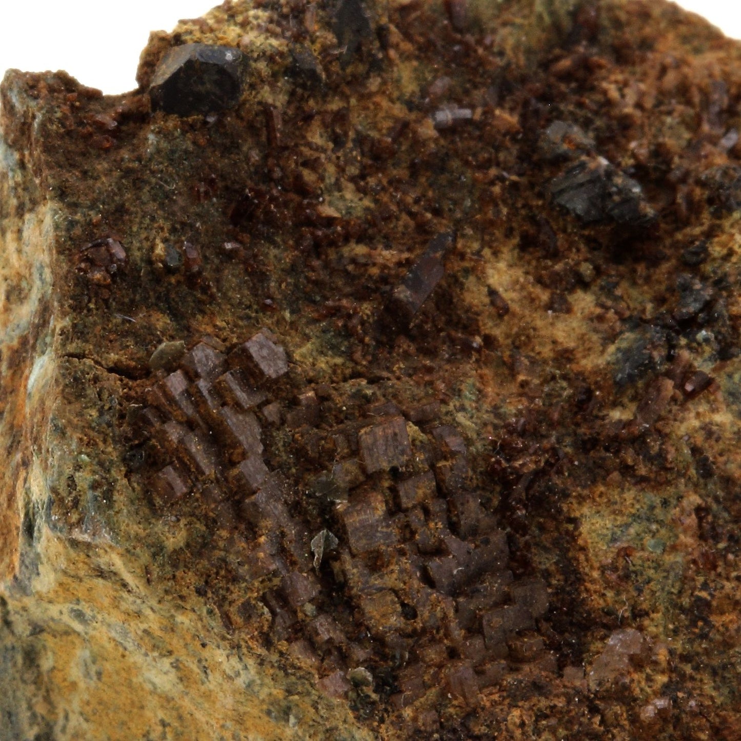 Perovskite + Vesuvianite, 214.0 carats, Farinole, Olmeta-di-Capocorso, Haute-Corse, France