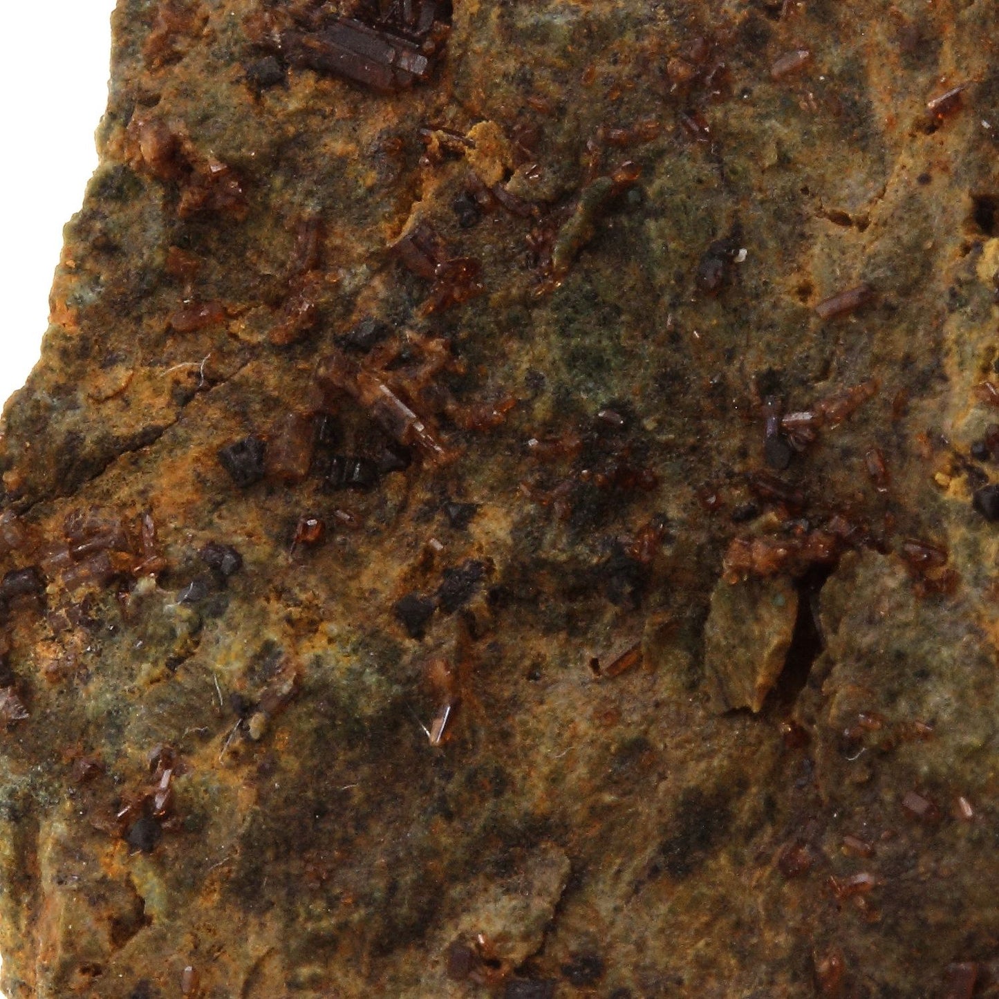 Perovskite + Vesuvianite, 73.5 carats, Farinole, Olmeta-di-Capocorso, Haute-Corse, France