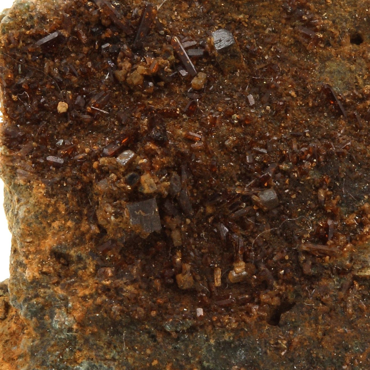 Perovskite + Vesuvianite, 55.5 carats, Farinole, Olmeta-di-Capocorso, Haute-Corse, France