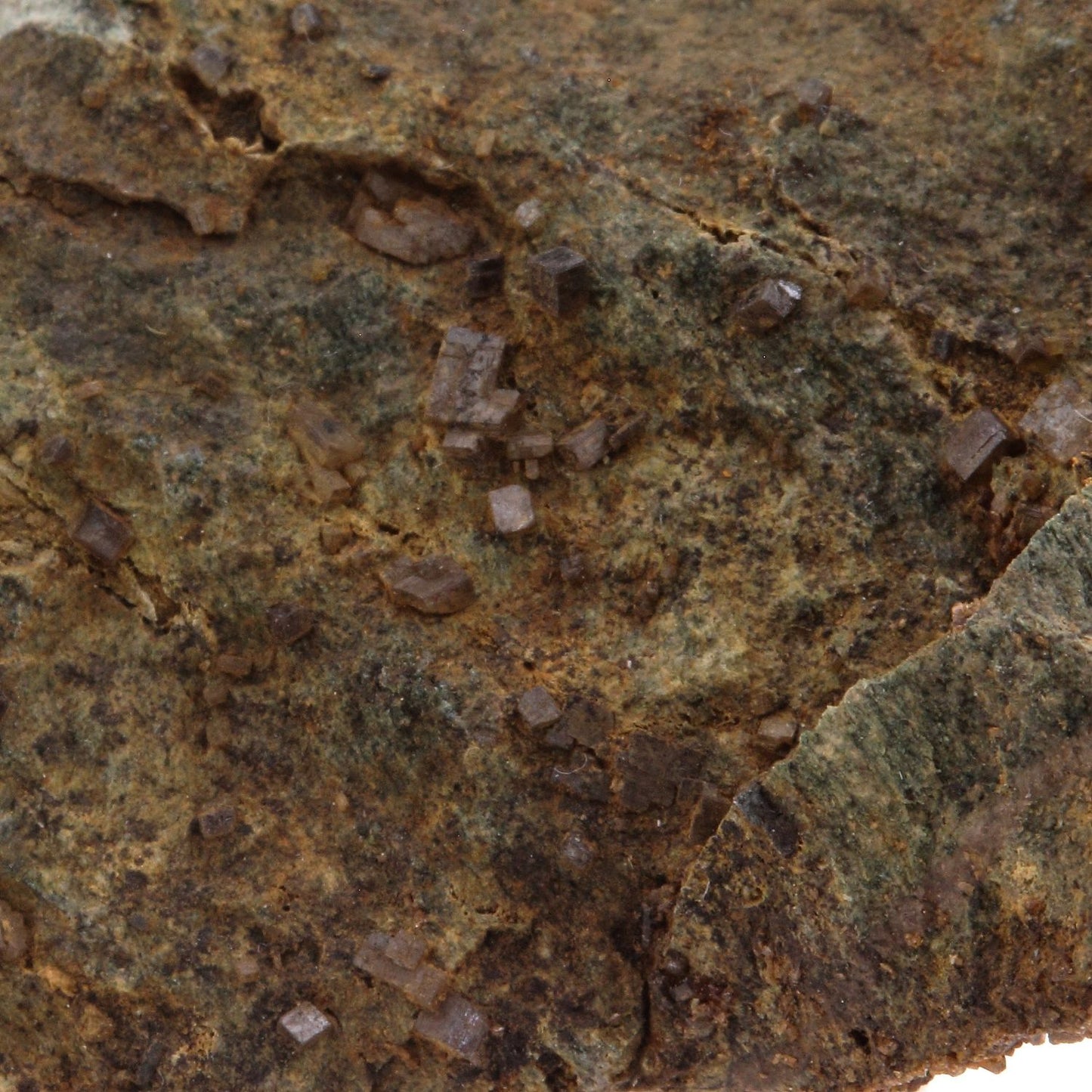 Perovskite + Vesuvianite, 170.0 carats, Farinole, Olmeta-di-Capocorso, Haute-Corse, France