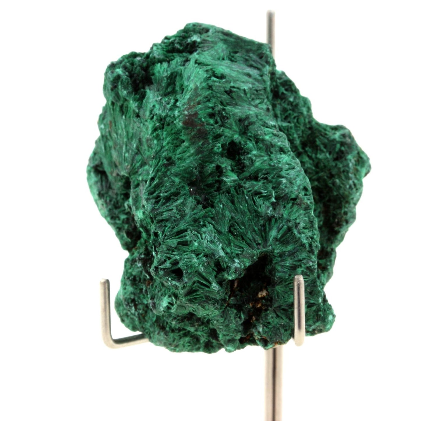 Malachite. 443.0 carats. Katanga, Congo
