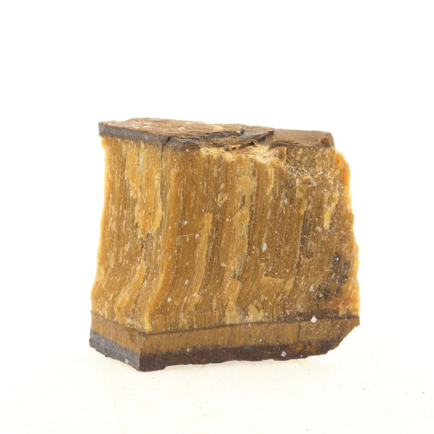 Oeil de Tigre 56.5 carats, Northern Cape, Afrique du sud