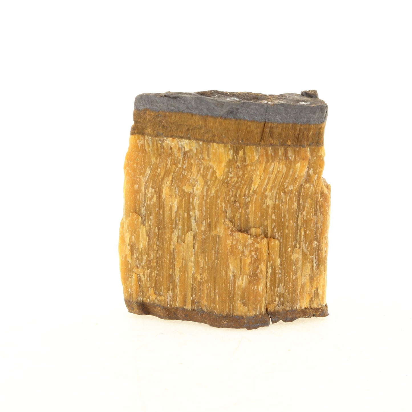 Oeil de Tigre 44.0 carats, Northern Cape, Afrique du sud