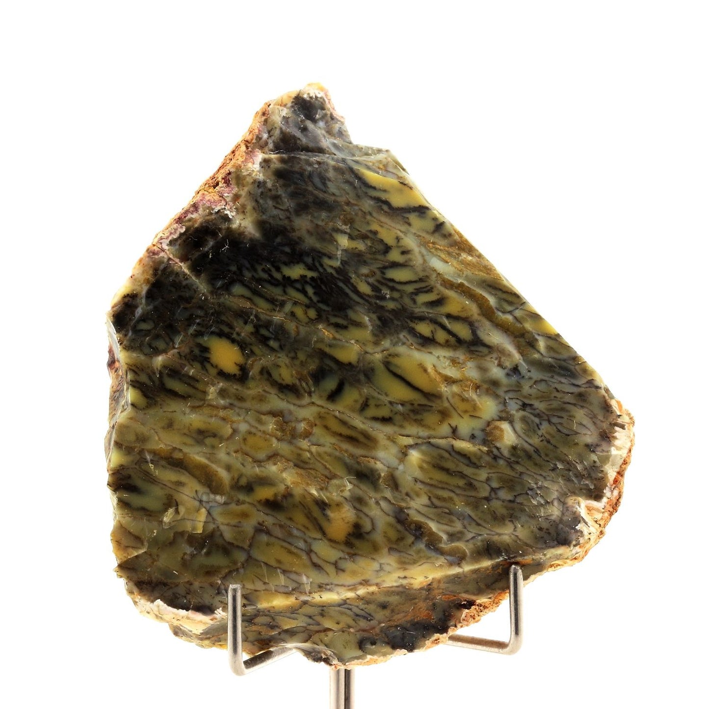 Opale dendritique. 404.45 carats. Lightning Ridge, New South Wales, Australie