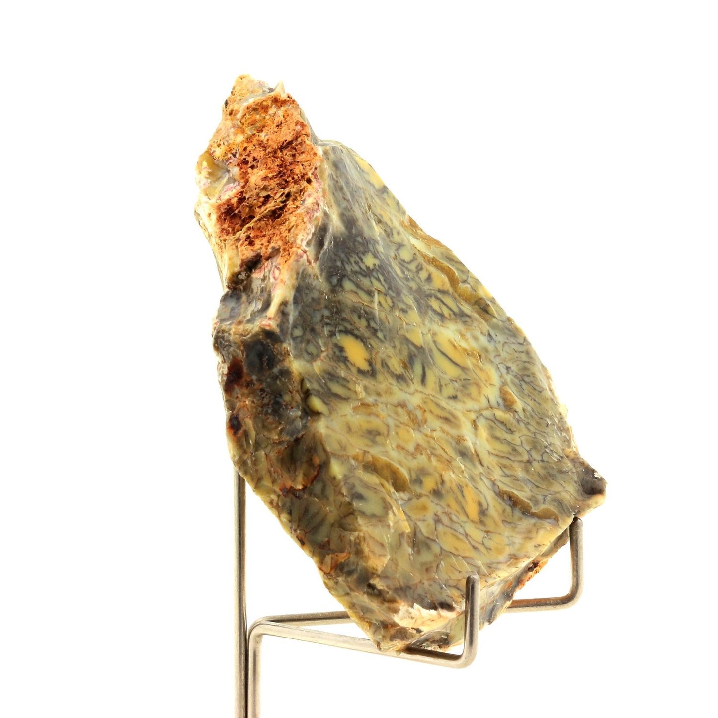 Opale dendritique. 404.45 carats. Lightning Ridge, New South Wales, Australie
