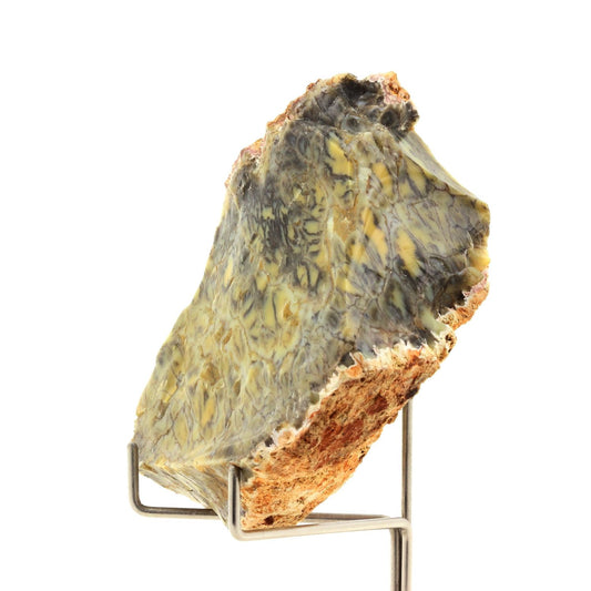 Opale dendritique. 404.45 carats. Lightning Ridge, New South Wales, Australie