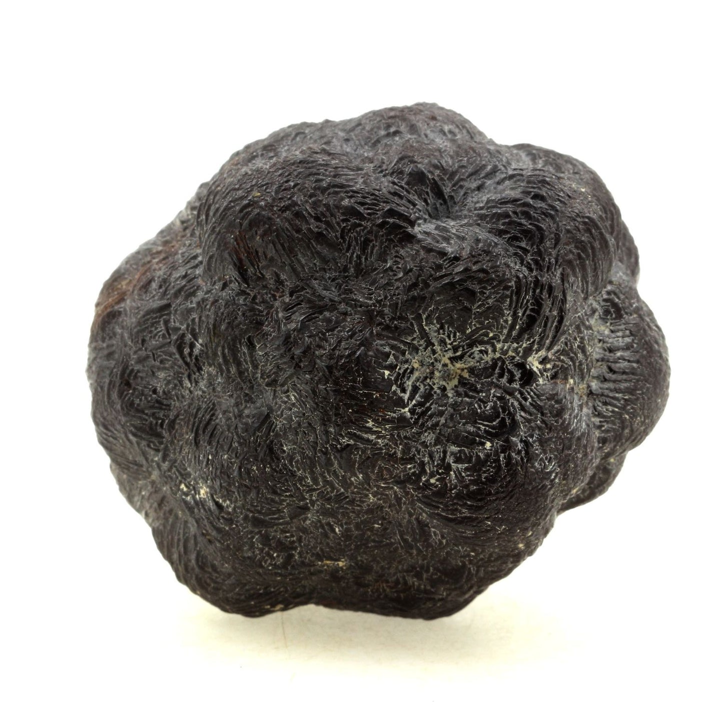 Marcassite, 4330.0 carats, Épernay, Marne, Grand Est, France