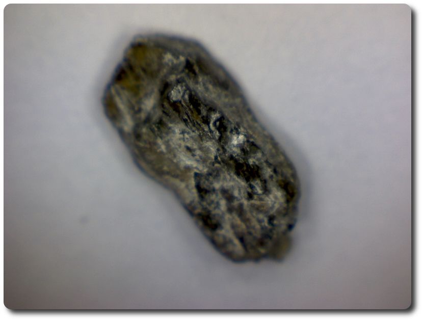 Enstatite. 4,0 carats. Birmanie
