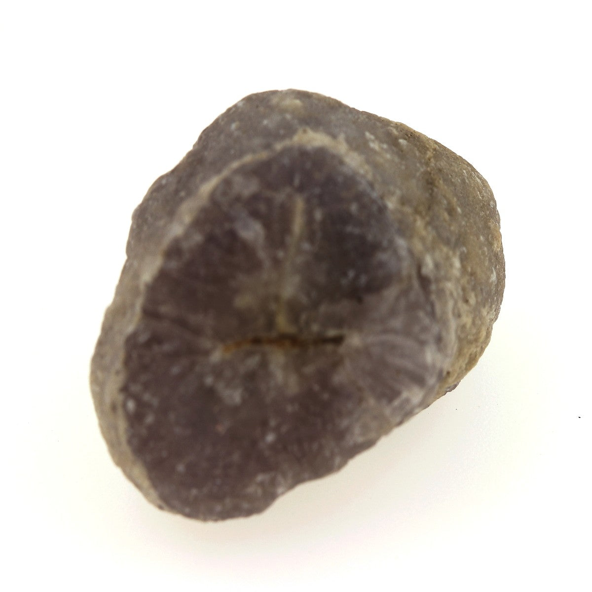 Fluorine. 54.00 carats. Birmanie