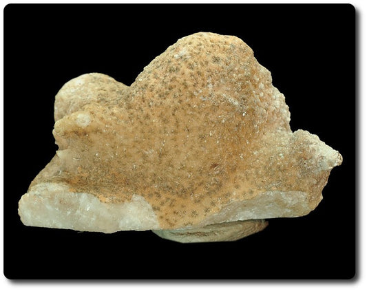 Aragonite. 15 carats. Afrique du Sud