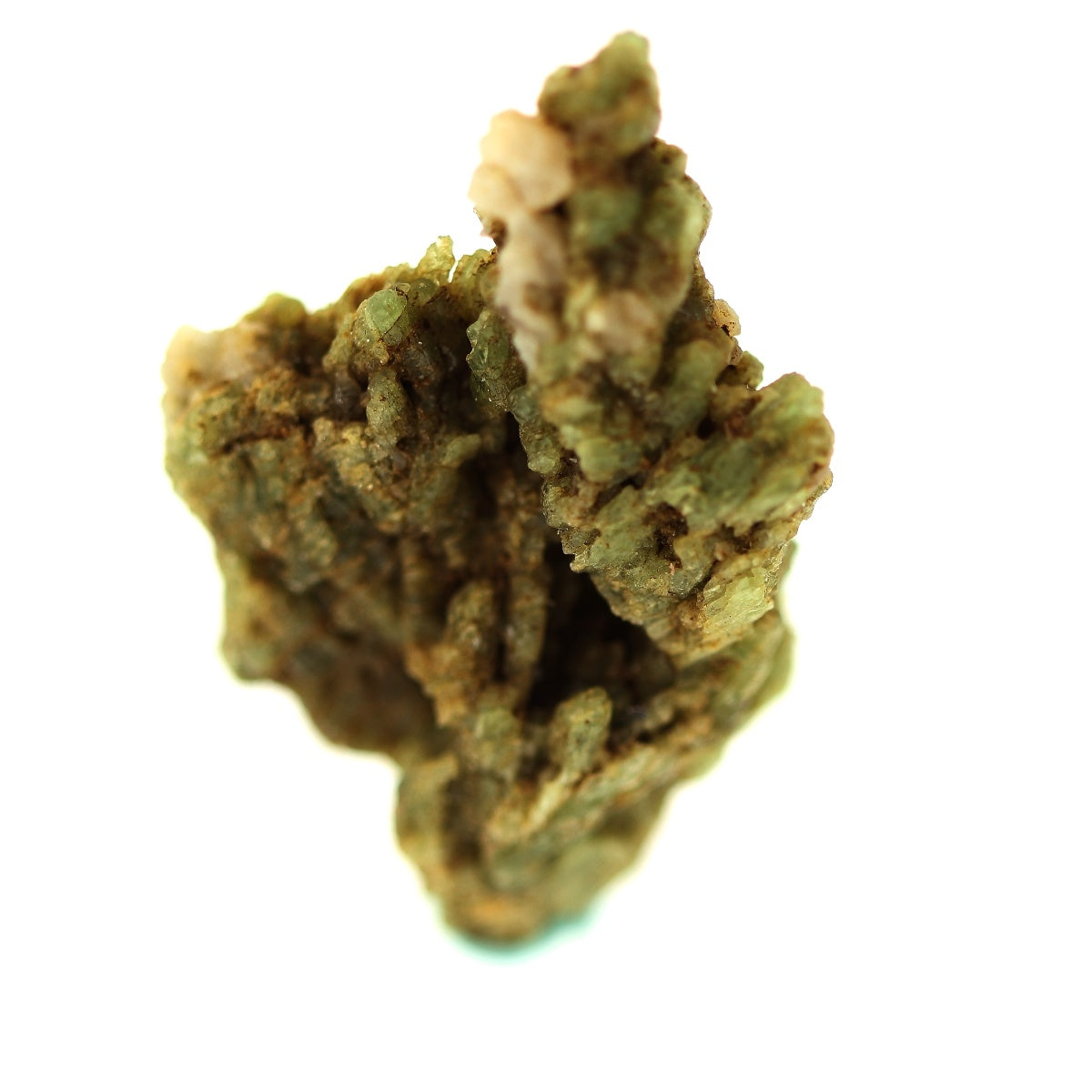 Chrome Diopside. 42.80 carats. Birmanie