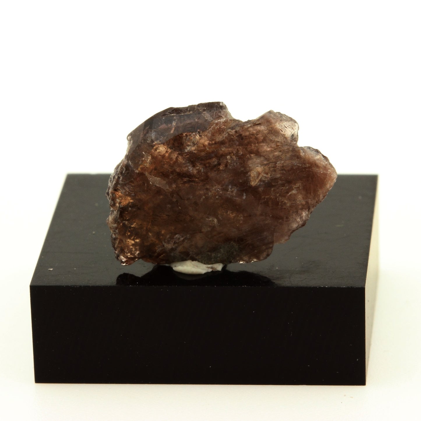 Axinite. 9.8 carats. Chamrousse, Belledonne, Isère, France