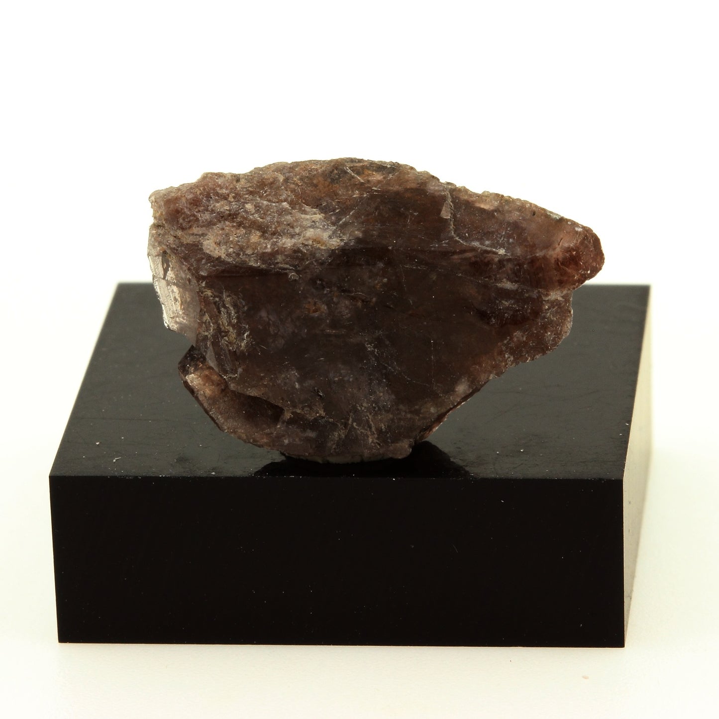 Axinite. 16.7 carats. Chamrousse, Belledonne, Isère, France
