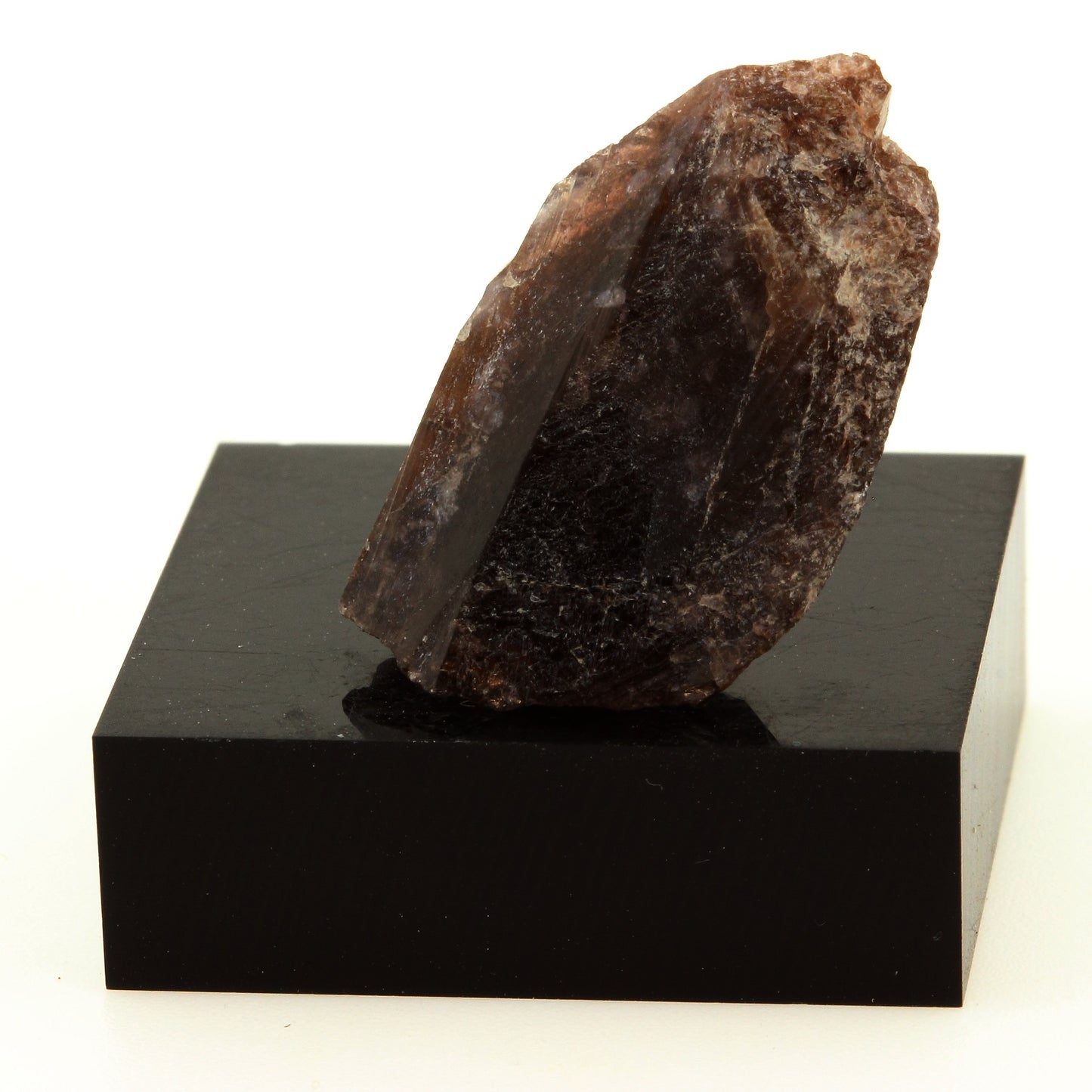 Axinite. 25.6 carats. Chamrousse, Belledonne, Isère, France