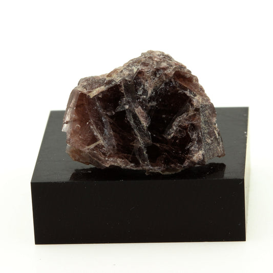 Axinite. 23.8 carats. Chamrousse, Belledonne, Isère, France