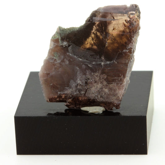 Axinite. 23.9 carats. Chamrousse, Belledonne, Isère, France