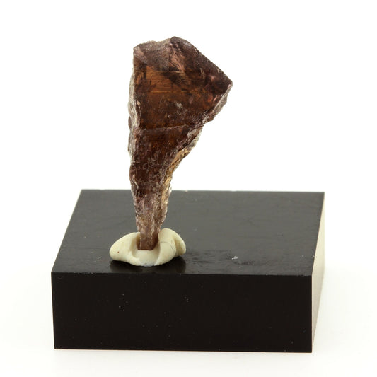 Axinite. 16.3 carats. Chamrousse, Belledonne, Isère, France