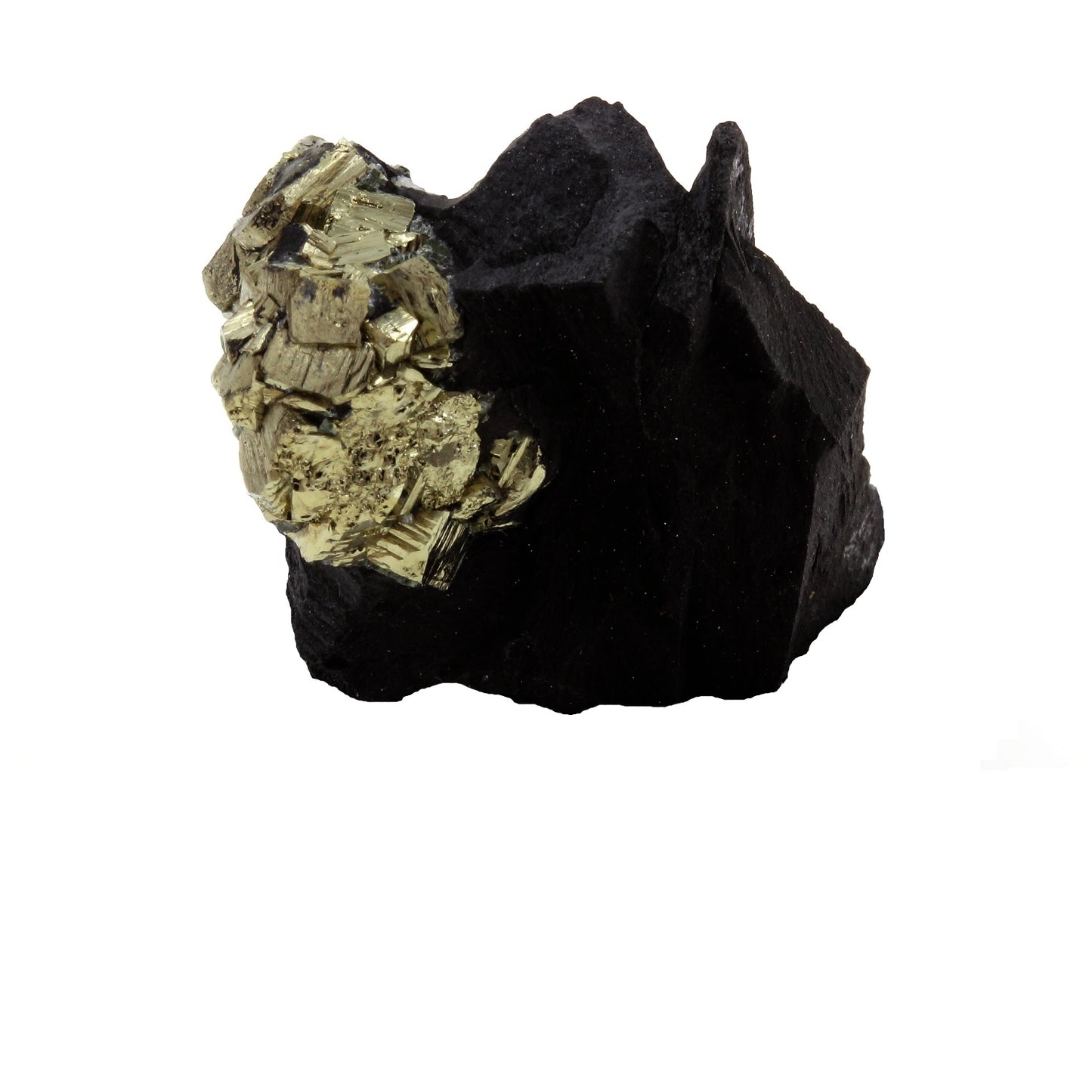 Pyrite sur matrix noir, 134.9 carats, Serre-Ponçon, Hautes-Alpes, Provence-Alpes-Côte d'Azur, France
