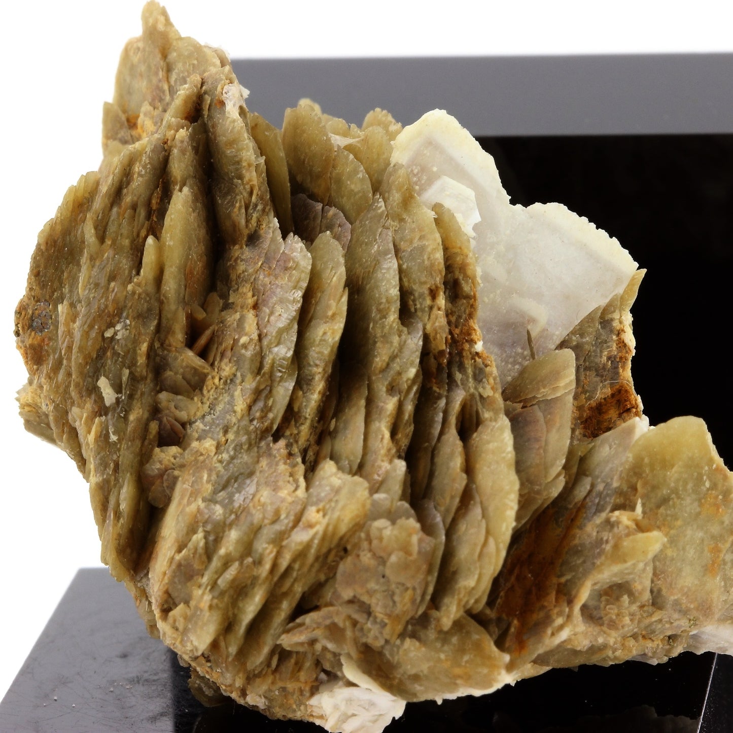Siderite, Baryte, Quartz, Pyrite. 681.9 carats. Mésage Mine, Vizille, France