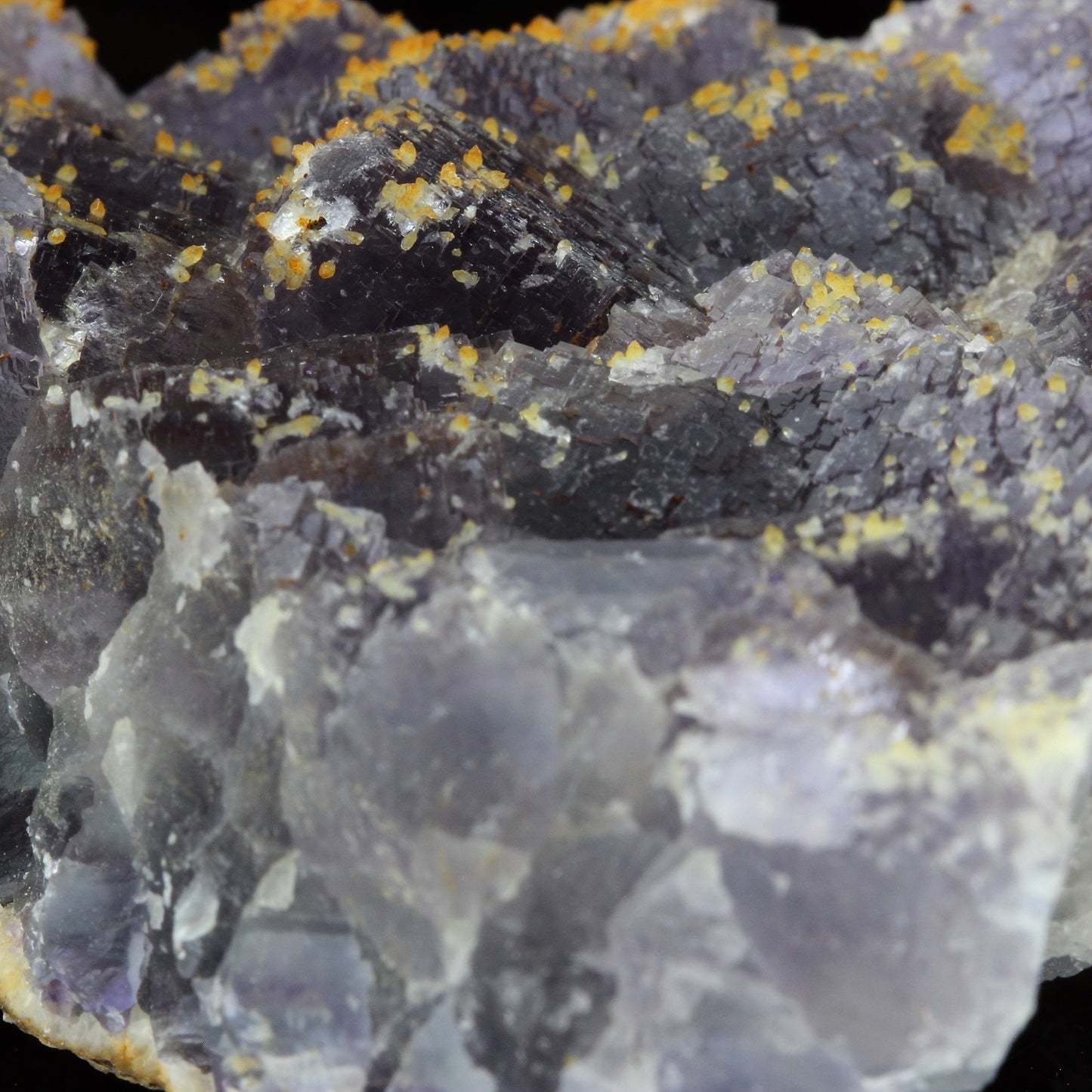 Fluorite et Calcite jaune. 586.3 carats. Fontsante Mine, Var, France
