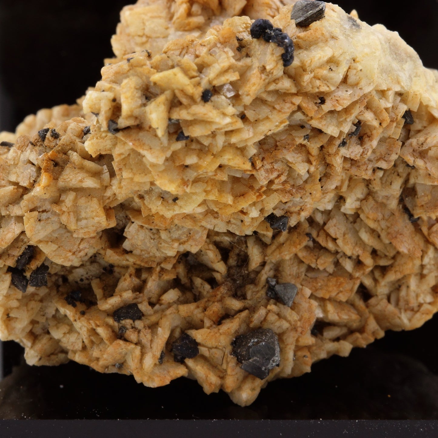 Tetrahedrite sur Dolomite. 291.6 carats. Usclas-du-Bosc Quarry, Hérault, France