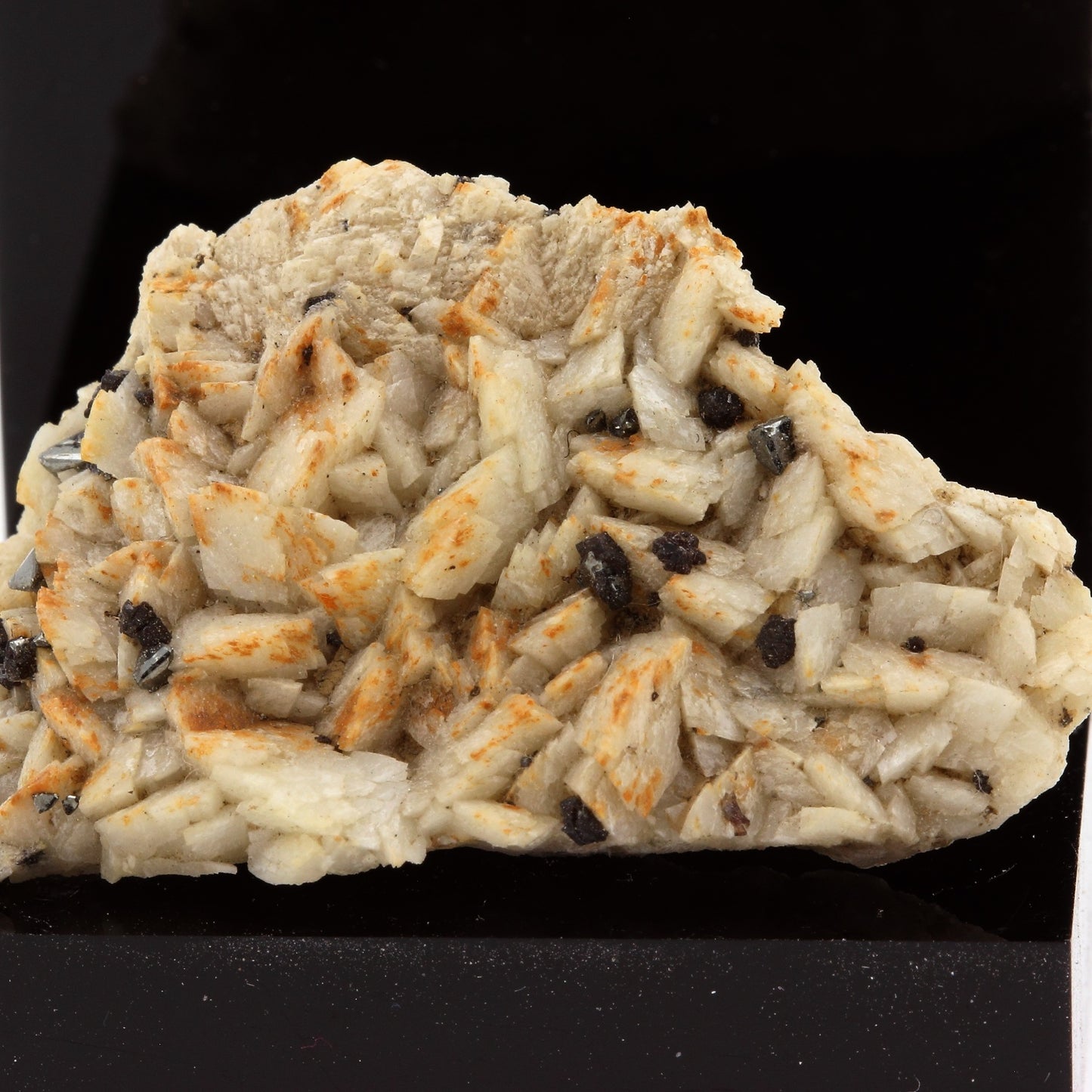 Tetrahedrite sur Dolomite. 56.8 carats. Usclas-du-Bosc Quarry, Hérault, France