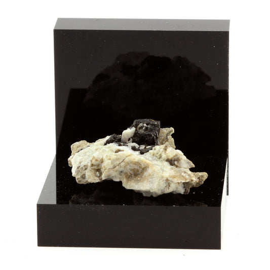 Dravite. 47.3 carats. Gypsum Quarry, Arignac, Ariège, France