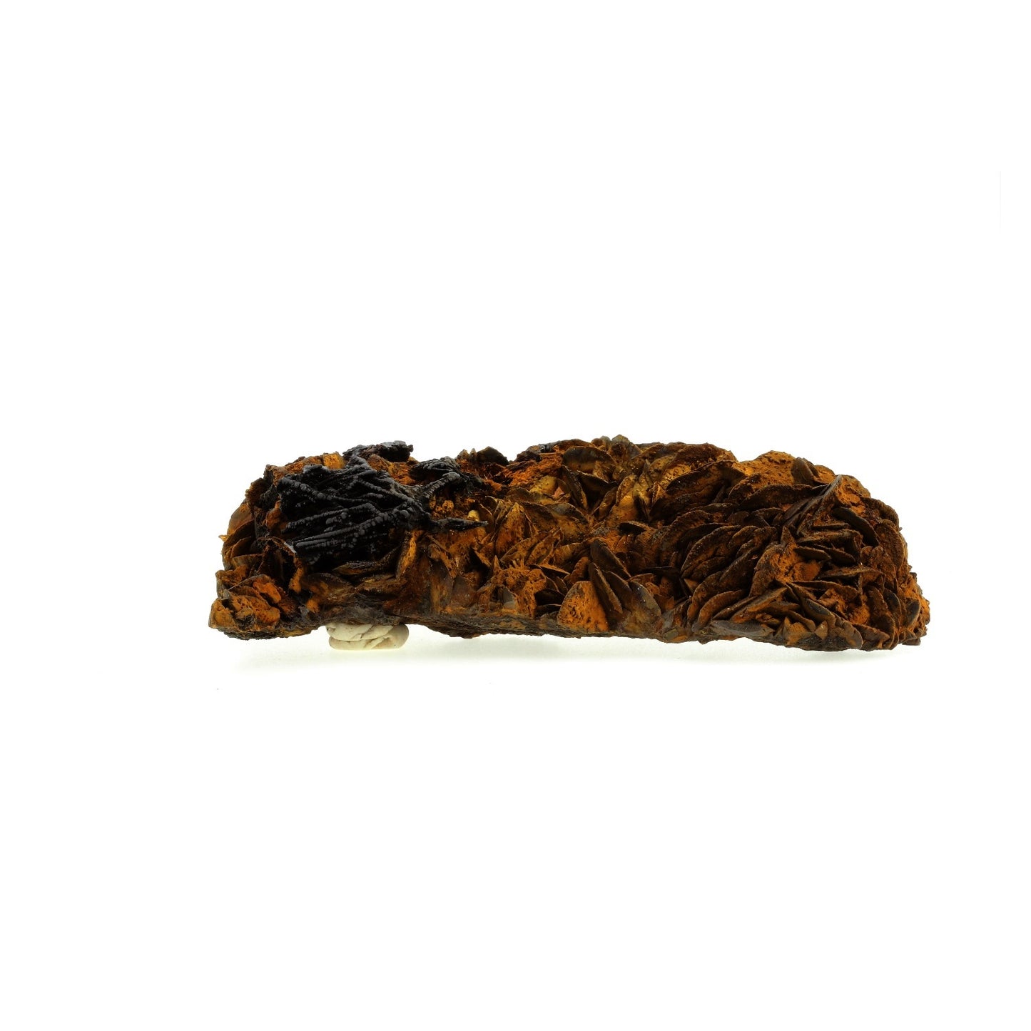 Pyrolusite et Goethite sur Siderite. 1445.3 carats. Peyreblanque Mine, Alban, Tarn, France
