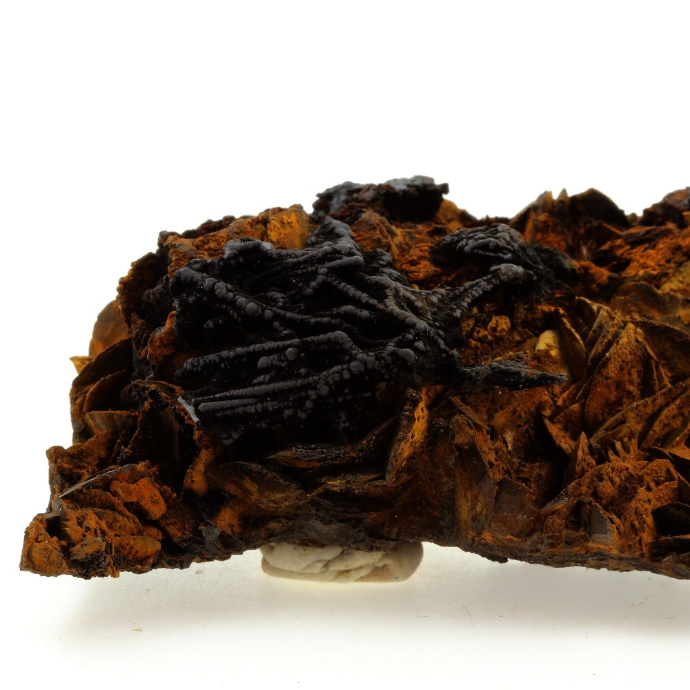 Pyrolusite et Goethite sur Siderite. 1445.3 carats. Peyreblanque Mine, Alban, Tarn, France