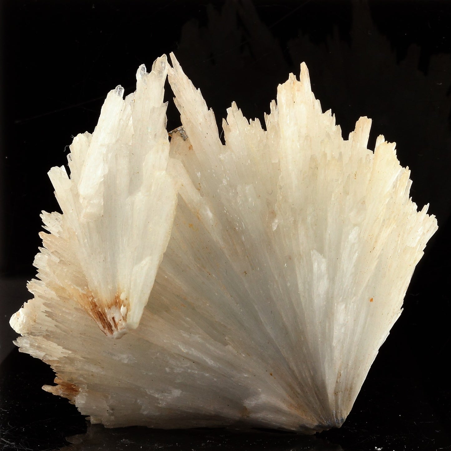Baryte, Celestine. 581.1 carats. Hammam-Zriba Mine, Tunisie