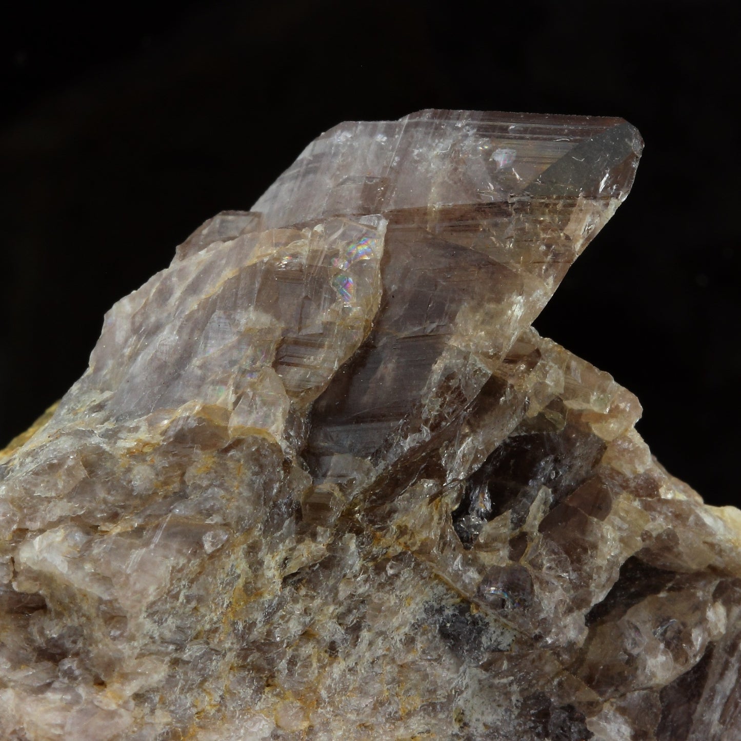 Axinite. 512.9 carats. Chamrousse, Vizille, Isère, France